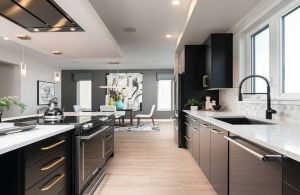 Modern Kitchen Remodel